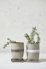 Ceramic Indoor or Outdoor Planter | Plants & Landscape by ShellyClayspot. Item composed of stoneware