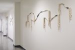 Flexible Fiber Sculptures | Wall Hangings by FIBROUS | Googleplex in Mountain View