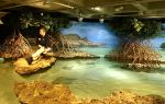 Shark and Ray Touch Tank mural | Murals by Robert Evans Murals, Inc. | New England Aquarium in Boston. Item composed of synthetic