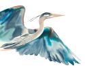 Heron No. 28 : Original Watercolor Painting | Paintings by Elizabeth Becker. Item made of paper works with boho & minimalism style