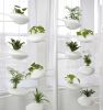 Hydroponic Vertical Garden | Planter in Vases & Vessels by Danielle Trofe Design. Item made of ceramic
