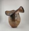 Wood fired ceramic vase | Vases & Vessels by T. Duncan Ceramics. Item composed of stoneware in contemporary or country & farmhouse style