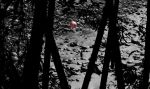 Beneath the Shadows – Fine Art Photography | Photography by ANDRES GALAN. Item composed of canvas and aluminum in contemporary or modern style
