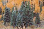 SHIFT CHANGE︱Telluride, CO︱Fine Art Print | Photography by Jess Ansik. Item made of paper works with country & farmhouse & rustic style