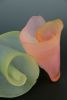 DJR Glass / Crystal Shell Group | Sculptures by DJR Glass / Donna J. Rice. Item composed of glass & synthetic