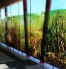 Melkbos-inspired artwork for MyCiti bus station | Street Murals by Janet Botes. Item made of synthetic