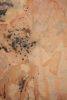First Frost | Oil And Acrylic Painting in Paintings by PUGMATIK. Item made of canvas works with contemporary style