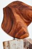 Shruti Sculpture in Florida Mahogany Wood | Sculptures by Pooja Pawaskar