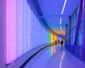 You Activate This Space | Sculptures by Ansen Seale | University Hospital - University Health System in San Antonio. Item made of synthetic