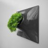 Modern Living Wall - Node Wall Planter | Plants & Landscape by Pandemic Design Studio. Item composed of ceramic in mid century modern or contemporary style