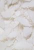 Feathers | Mixed Media in Paintings by Vero G. Item composed of linen compatible with contemporary and japandi style