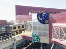 Beauty in Plain Sight | Public Sculptures by Amuneal