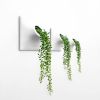 Node M Wall Planter, 9" Modern Plant Wall Set, White | Sculptures by Pandemic Design Studio. Item composed of stoneware in minimalism or mid century modern style