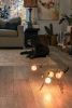 Rex Table Lamp | Lamps by Claudine Gevry Studio | Umbra & Lux in Vancouver. Item composed of copper