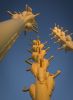 MIGRATIONS | Public Sculptures by COOKE-SASSEVILLE. Item composed of stone and synthetic