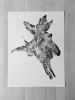 Caribou-Targhee Idaho Tree Roots | Prints by Erik Linton. Item composed of paper in rustic style