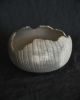 Cenizas Distressed Form No.1 | Sculptures by Alex Roby Design. Item made of ceramic works with minimalism & contemporary style