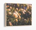 Misty Roses | Photography by Kara Suhey Print Shop. Item composed of paper