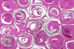 Pink Flowers 9287 | Prints by Petra Trimmel. Item made of paper