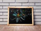 Orange, Green and Dark | Limited Edition Print | Photography by Tal Paz-Fridman | Limited Edition Photography. Item composed of paper in country & farmhouse or modern style