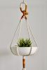 Macrame Plant Hanger, Knotted Color Block Plant Holder | Plants & Landscape by Freefille. Item made of cotton compatible with contemporary and modern style