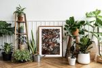 FORBIDDEN FRUIT (9"x12" - 36"x48") | Fine Art Print | Photography by Jess Ansik. Item made of paper compatible with country & farmhouse and rustic style
