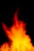 Lag BaOmer V | Limited Edition Print | Photography by Tal Paz-Fridman | Limited Edition Photography. Item made of paper works with contemporary & country & farmhouse style