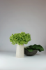 Stratosustrato 5 | Vessels & Containers by gumdesign. Item composed of marble in contemporary style