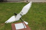 Pewit Stainless Steel Sculpture Of A Pewit | Public Sculptures by Jeroen Stok. Item made of steel