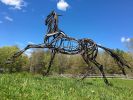 Hawk Ridge Horses | Public Sculptures by Wendy Klemperer Art Inc. Item made of steel
