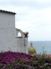 Golden Dome of Positano | Photography by KNOF design. Item in contemporary or coastal style
