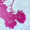 Daybreak Japanese Maple: 36 x 36" oil painting | Oil And Acrylic Painting in Paintings by Christine So. Item composed of canvas in contemporary or japandi style