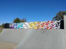 Rogers Skate Park | Street Murals by Graham Edwards Art. Item made of synthetic