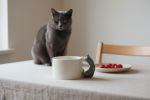 Grey Blue Cat Handle Mug – Handcrafted Ceramic | Drinkware by 4AM Product Design. Item made of ceramic
