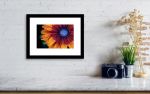 Colors Inside Framed Print | Photography by Vanessa Thomas. Item made of paper
