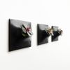 Node S Wall Planter, 6" Modern Plant Wall Set, Black | Plant Hanger in Plants & Landscape by Pandemic Design Studio. Item made of stoneware works with minimalism & mid century modern style