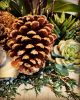 Christmas Flower Arrangement | Floral Arrangements by Fleurina Designs