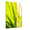 Sunkissed_3613  --  the life-giving energy of nature | Prints in Paintings by Petra Trimmel. Item composed of canvas and paper