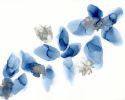 water remembering | original abstract art | Watercolor Painting in Paintings by Megan Spindler. Item made of canvas