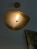 Nymphaea Single Pendant Suspended Light | Pendants by Claudine Gevry Studio. Item made of aluminum works with boho & contemporary style