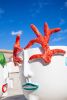 Corallina defender of sea | Vase in Vases & Vessels by Patrizia Italiano. Item made of ceramic