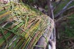 "Leaves of Change" | Public Sculptures by Janet Botes. Item composed of wood