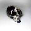 SKULL | Sculptures by Esque Studio. Item composed of glass