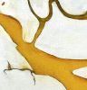 "By Degrees" (Mahakam River) | Oil And Acrylic Painting in Paintings by Lynn Benson