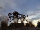Bison and Grizzly | Public Sculptures by Wendy Klemperer Art Inc | Great Falls International Airport in Great Falls. Item composed of steel