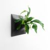 Node L Wall Planter, 12" Mid Century Modern Planter, Black | Plant Hanger in Plants & Landscape by Pandemic Design Studio. Item composed of stoneware in mid century modern or japandi style