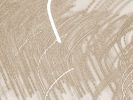 Circa 3760 | Prints in Paintings by Petra Trimmel. Item composed of canvas and metal