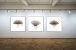 'Resonant Halo' | Sculptures by Sangeeta Sagar. Item made of wood with metal works with contemporary & art deco style