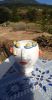 Oliva oil seller, Bocca di Rosa and Agostino snail seller | Vase in Vases & Vessels by Patrizia Italiano. Item made of ceramic
