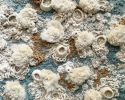 Abstract Ocean Fiber Art | Art & Wall Decor by Helen D Wilde - Ovo Bloom